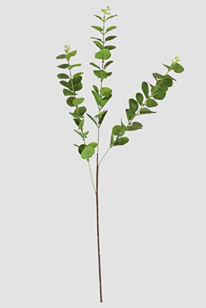 Yapay Çiçek Deposu Yapay Islak Okaliptus Dalı 82 cm Yeşil Yeşil