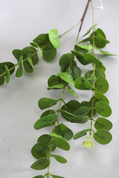 Yapay Çiçek Deposu Yapay Islak Okaliptus Dalı 82 cm Yeşil Yeşil