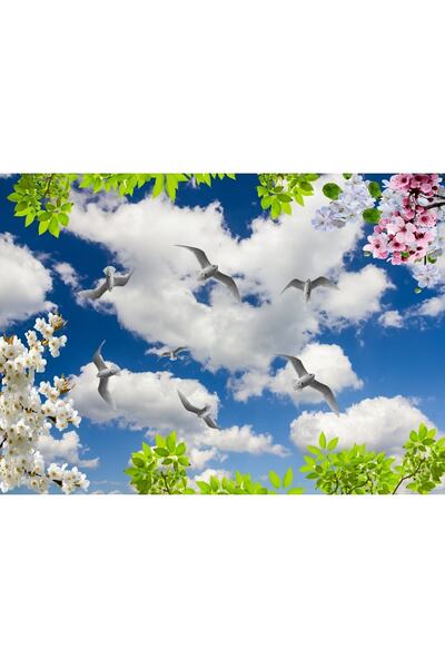 Miray Dekorasyon Gergi Tavan