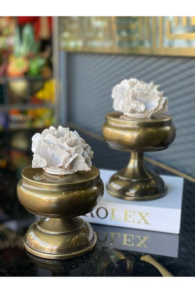 TASARIMHMODA Διπλή Τεχνητή Κοραλί Ζαχαριέρα