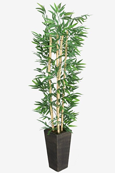 Yapay Çiçek Deposu Yapay Bambu Ağacı 155 Cm 4 Gövdeli Yeşil (ahşap Siyah Gold-saksı)