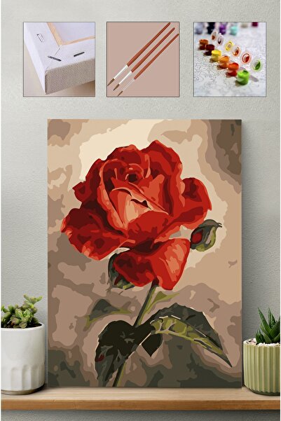 Carmen Sayılarla Boyama Seti - Büyüleyici Kırmızı Gül