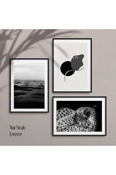 HOMEPACK Siyah Beyaz Deniz Ve Leopar Tablo Seti , 3 Parça Lamine Çerçeveli Hpn01