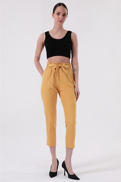 diaves Women's Seasonal Elastic Waist Atlas Fabric Carrot Cut Tan Trousers