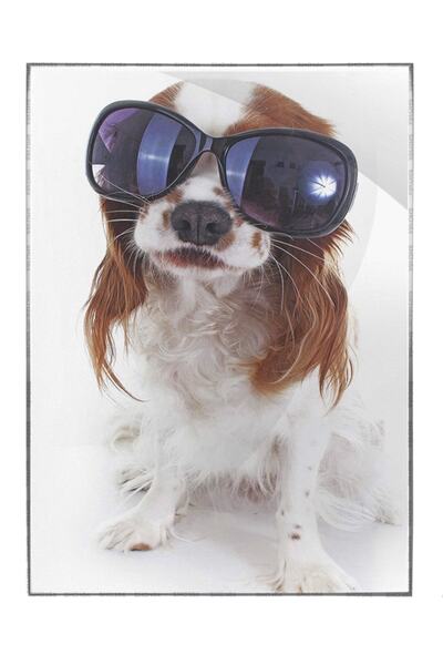 Güneş Gözlüklü Cavalier King Charles Spaniel Komik Köpek Tablo Çerçeveli P-004609