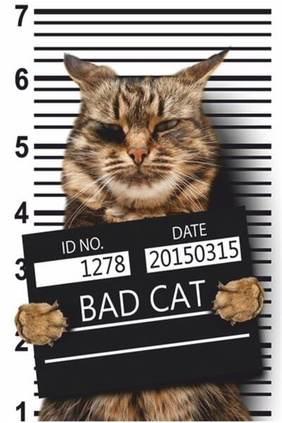 Hayat Poster Poster retro din lemn Guilty Evil Cat