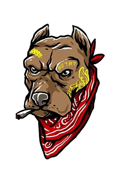 MegaSticker ملصقات بيتبول للسيارة والدراجة النارية - خوذة، كمبيوتر محمول، زجا...