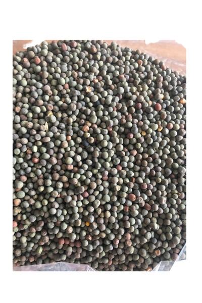 UCF Ziraat Fiğ Tohumu - Macar Fiğ Tohumu 1kg