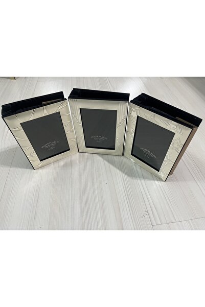 Hazalçerçevetablo Gumus Cerceve Album