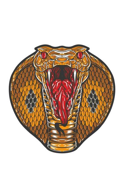 MegaSticker ملصق زجاجي للسيارة والدراجة النارية والخوذة والكمبيوتر المحمول وا...