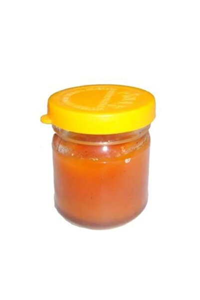 fitfiyat 80 Watt Profesyonel Lehim Makinesi Tel ve Pasta Tam Set