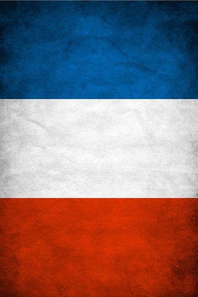 Buffalo Bandana France Flag