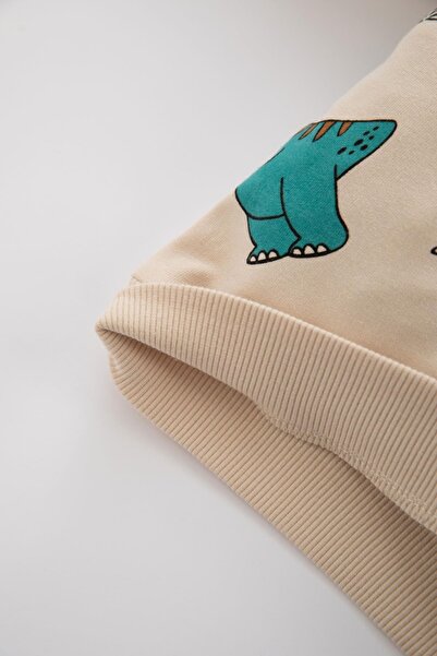 DeFacto Erkek Bebek Bisiklet Yaka Dinazor Desenli Sweatshirt Z7766a223sp