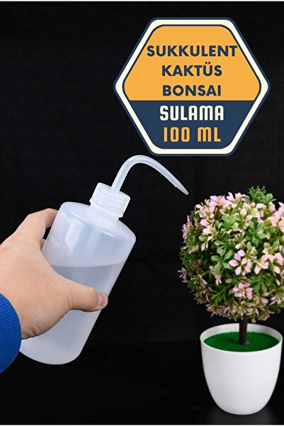 HomeCare 715726 Model sukulentnog kaktusa bonsai u boci