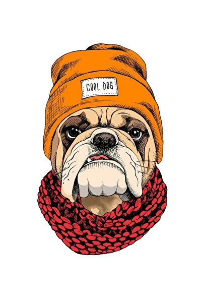 MegaSticker سيارة كول دوج، دراجة نارية، خوذة، كمبيوتر محمول، ملصق زجاجي 15x9 سم