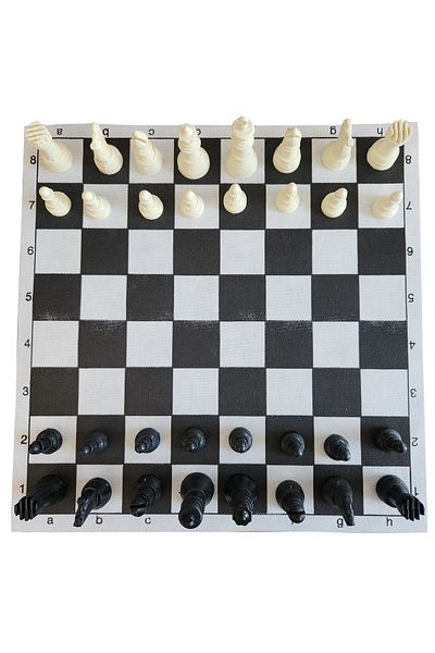 Çift Oyun Aletleri Special Chess Set for Schools