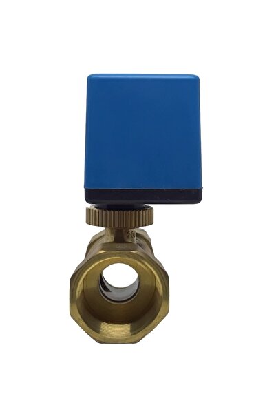 Hexa Controls Motorlu Vana Dn25, 230vac On/off