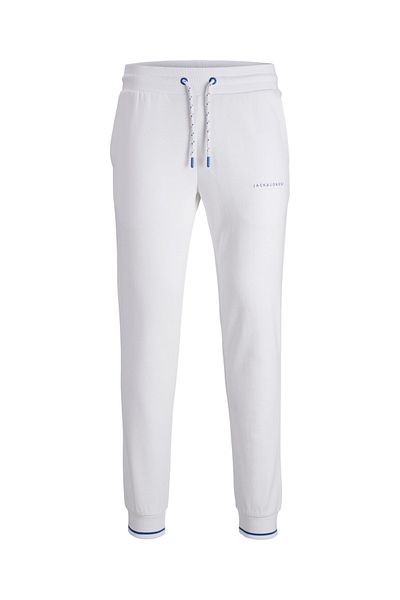 Jack & Jones Jpstgordon Jjglobus Sweat Pants 12225105