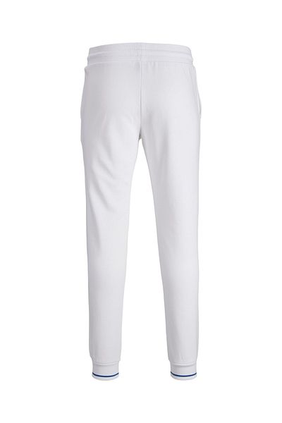 Jack & Jones Jpstgordon Jjglobus Sweat Pants 12225105