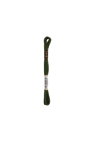 Anchor Κλωστή κεντήματος Muline 8 Yards 00263