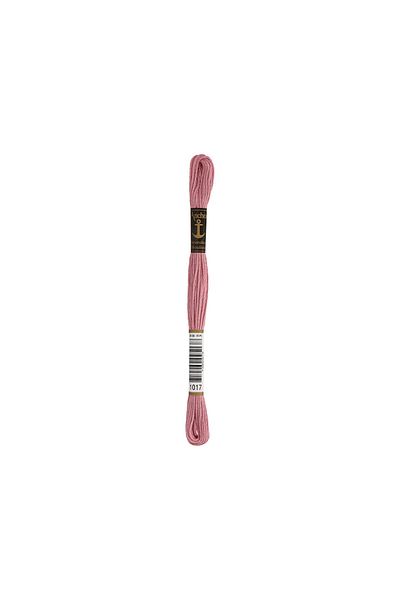Anchor Muline 8 Meters Embroidery Thread 01017