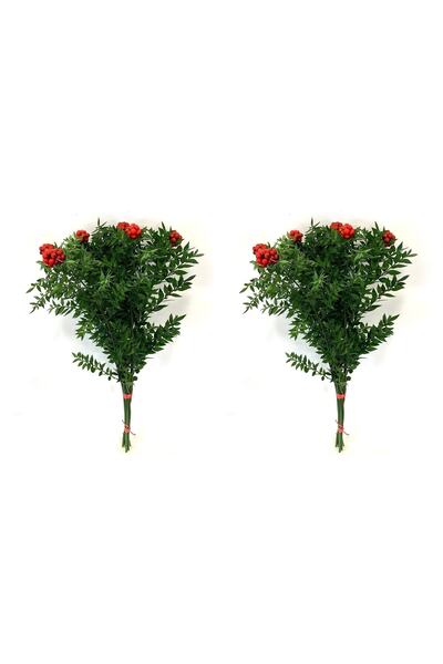 ay çiçekçilik 2 Demet Kokina (yılbaşı Çiçeği)