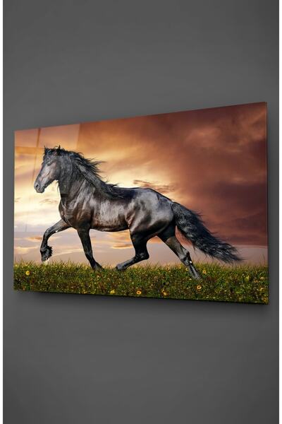 TAULART Pictură pe sticlă de cal negru în pășuni