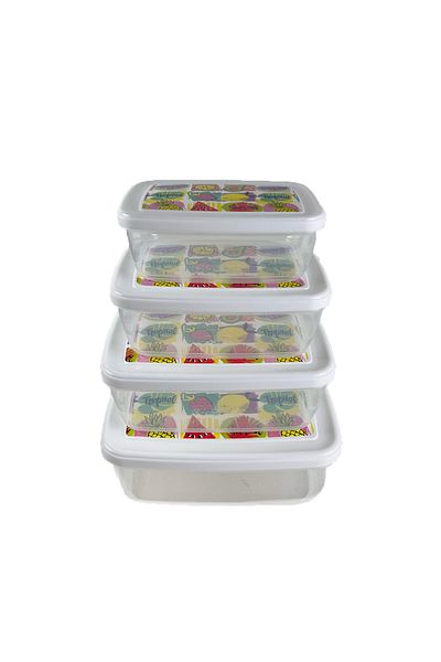 ARCLENA Set of 4 - Food, Food, Fruit, Vegetable, Meat and Storage Container for Fishing