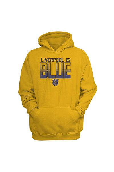 usateamfans Φούτερ με κουκούλα Everton