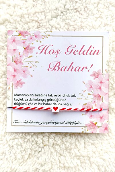 Miomundo Marteniçka Bileklik, Şans Bilekliği 25 Adet Kartlı Dilek Bilekliği, ...