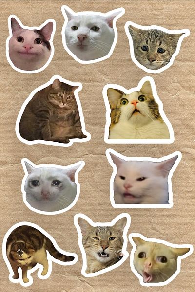 Namgo مجموعة ملصقات للكمبيوتر المحمول والكمبيوتر المحمول مكونة من 10 قطع من Şapşal Cats