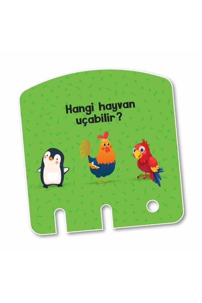 yükselen zeka Konuşmayı Ve Dikkati Geliştiren Oyuncak Zeka Kutusu 2-4 Yaş