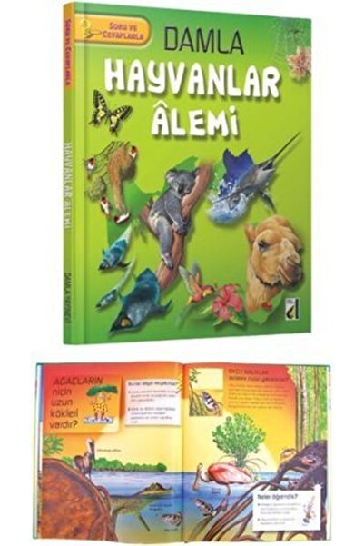 Damla Yayınevi Kıda Damla Hayvanlar Alemi (ciltli)-kolektif