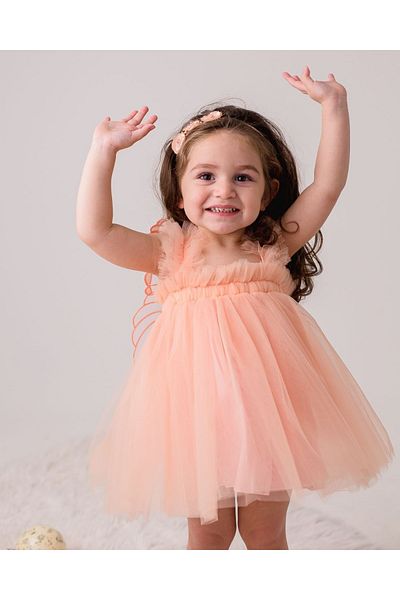 Alingo Tulle Butterfly Wings Girl's Dress