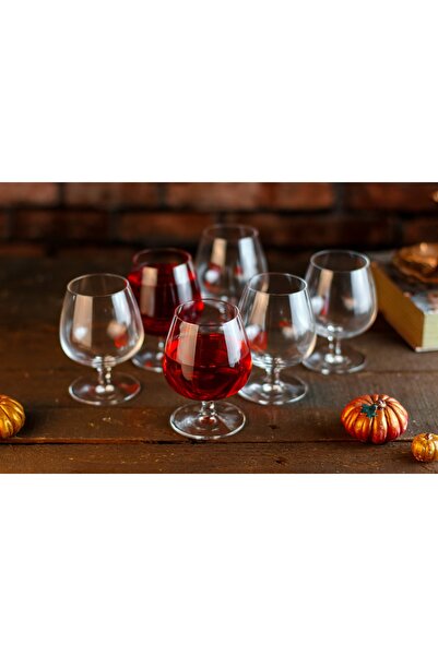 SARAYIKRISTAL Bohemia Kristal 6'lı Kısa Ayaklı Meşrubat Kadehi 240 Ml