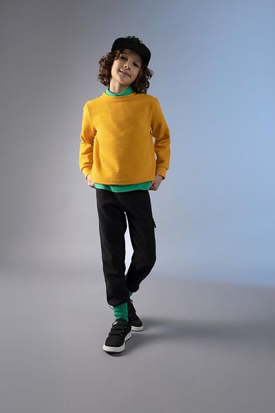 DeFacto Chlapecká mikina - Crew Neck, model Z2511a623sp