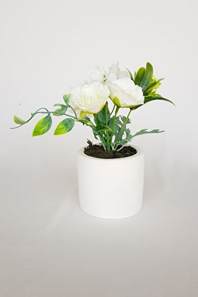 adresiburasi ترتيب زهرة الكوبية الوردية في وعاء زهور خرساني