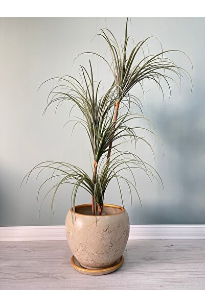 odka 20litre Küre Saksı Tabaklı 27cmx27cm Lily Taş Gold-beyaz Mermer