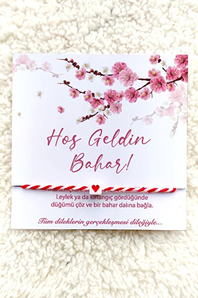 Miomundo Marteniçka Bileklik, Şans Bilekliği 40 Adet Toptan Kartlı Dilek Bile...