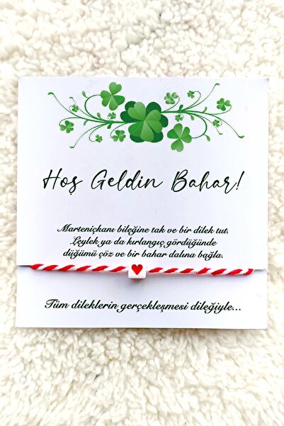 Miomundo Marteniçka Bileklik, Şans Bilekliği 25 Adet Kartlı Dilek Bilekliği, ...