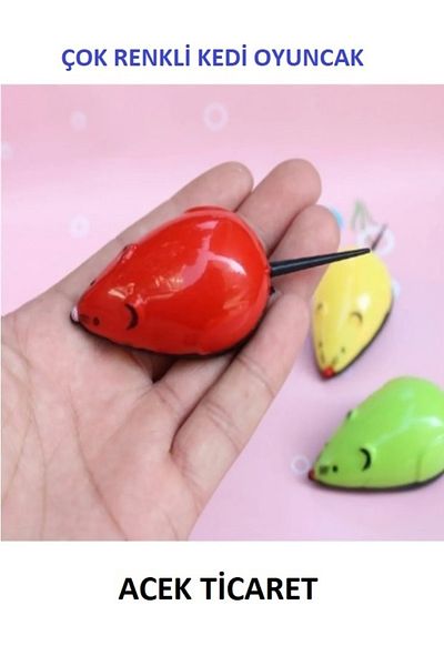 A.C.E.K PLASTİK Colorful Mouse Toy (2 Pieces) Pull and Drop