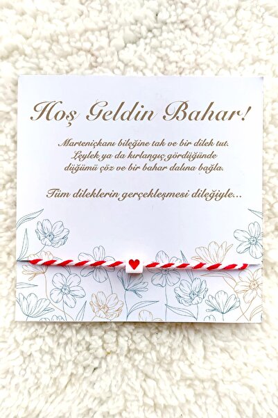 Miomundo Marteniçka Bileklik, Şans Bilekliği 40 Adet Toptan Kartlı Dilek Bile...