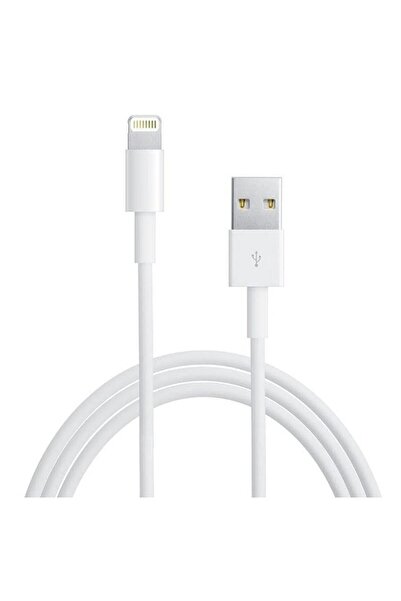 CLEAN-TECH Iphone Orjinal Usb Şarj Kablosu Lightning 1 Metre Tüm Modeller Uyumlu