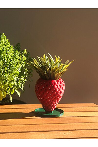 Alvina Atölye Çilek Mini Sukulent Saksısı - 7cm - Bioplastik