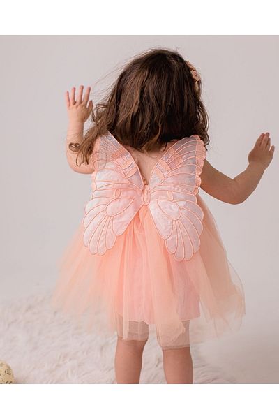 Alingo Tulle Butterfly Wings Girl's Dress