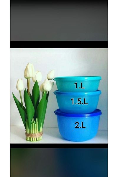 Tupperware Miracle Candy 1 1.5 2 Liter Storage Container