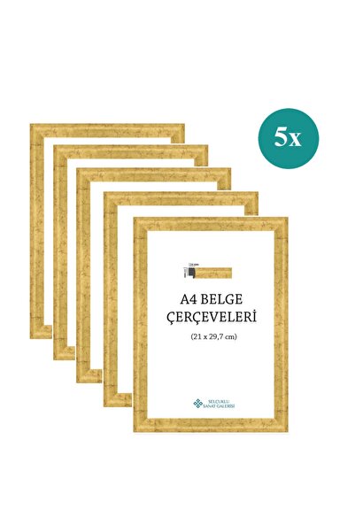 Genel Markalar A4 Çerçeve 1. Sınıf 22mm 5'li Paket (renk:yaldız)