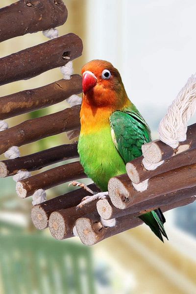 Alyones Flexible Bridge , Natural Swing Ladder For Pet Training