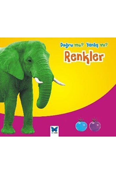 Mavi Kelebek Yayınları Doğru mu? Yanlış mı?: Renkler / Daniel Nunn / Mavi Kel...