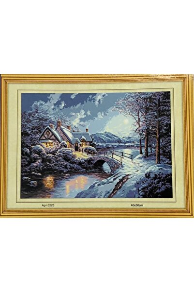 Genel Markalar Goblen Etamin Işleme Seti 40x50 Cm 226